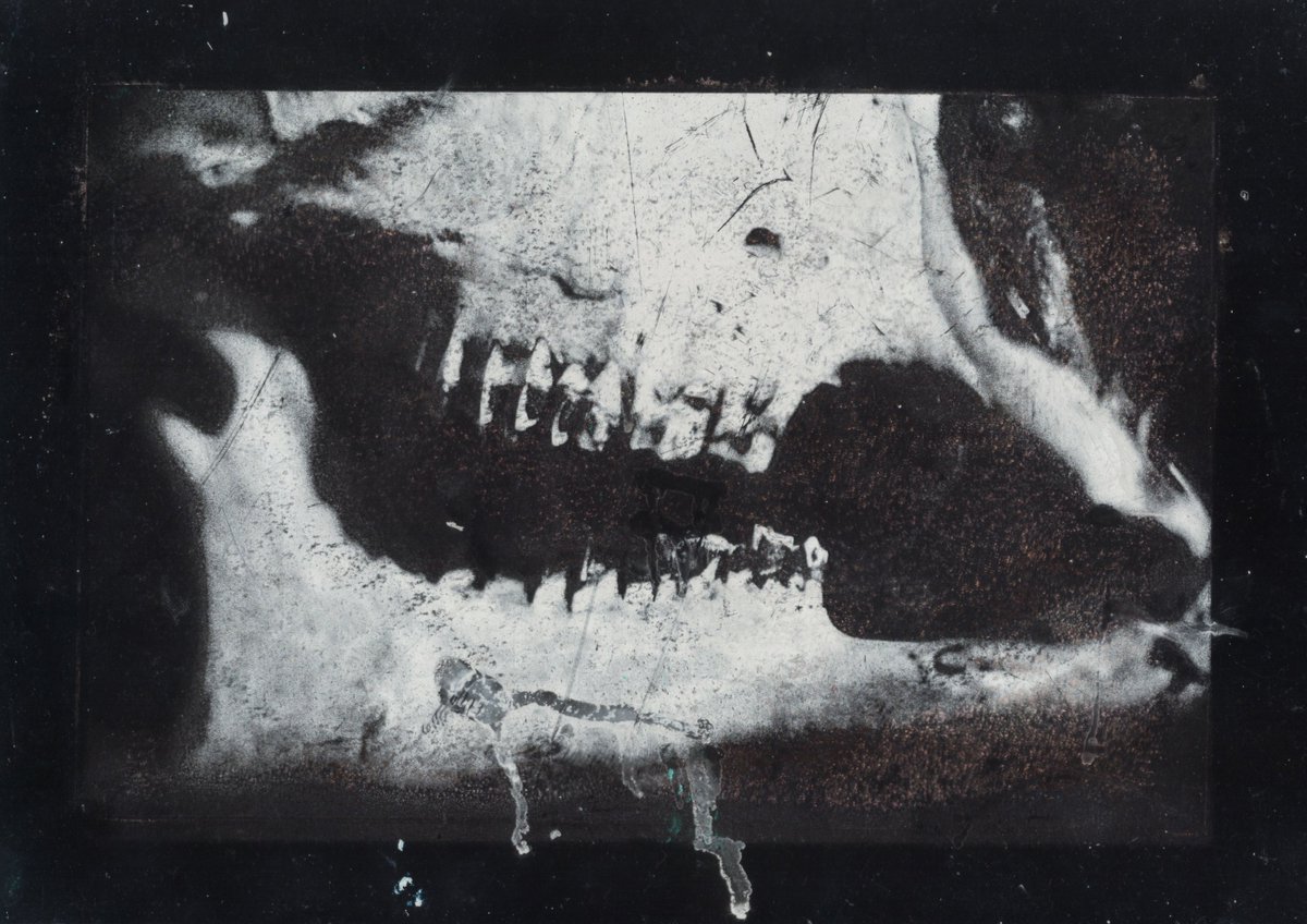 Goat Jaw

Minted on <a href="/objktcom/">objkt</a> 
July 23, 2023.