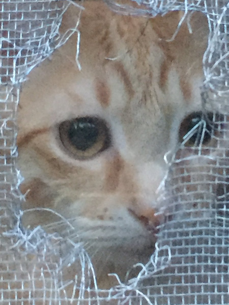 GianfrancoCat's tweet image. “Fa molto male essere dimenticati, noi non l’abbiamo fatto fin ora. Pensami ancora ogni tanto”

#penso #tipenso