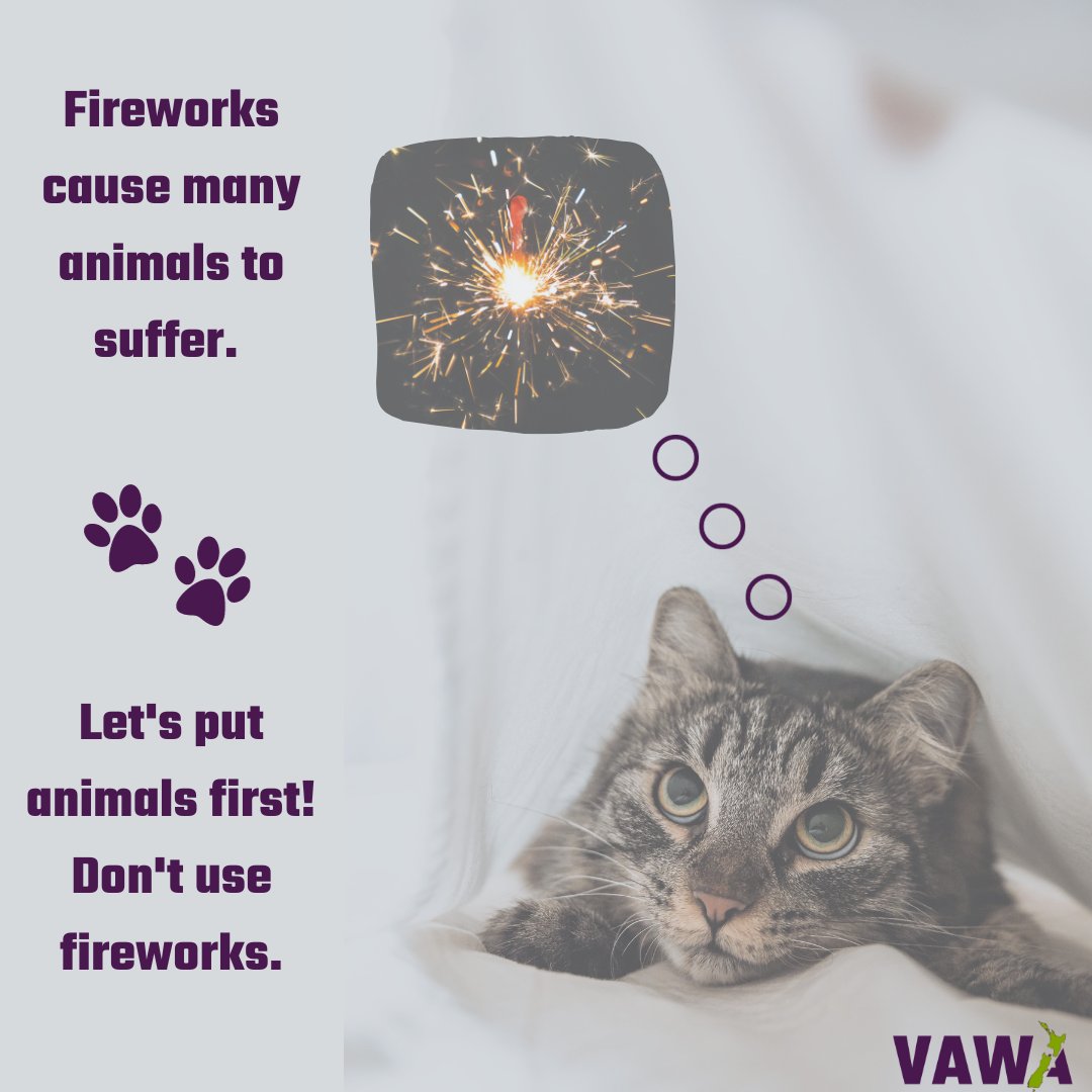This Guy Fawkes, let's prevent harm to animals, the environment and people.

Don’t buy or use fireworks. 🐾

#bantheboom #animalwelfare #onehealth #onewelfare