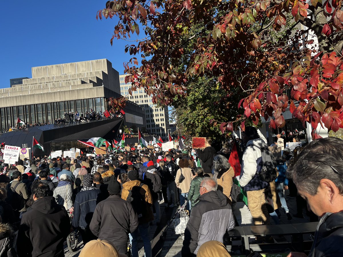 face_diwan's tweet photo. #Montreal showing up for Palestine. #theworldlovespalestine share your photos around the world! https://t.co/lXBvNKI6Aa