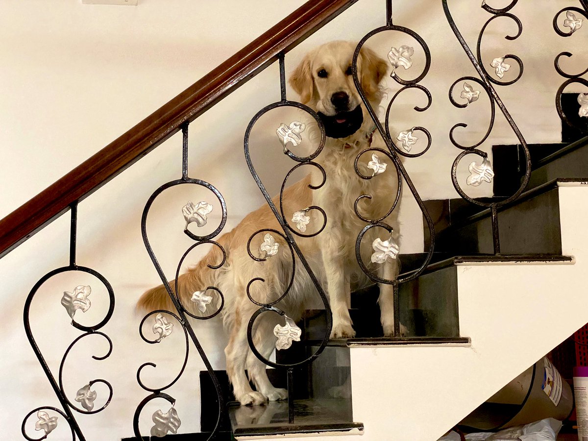 Are you coming or not 🙄