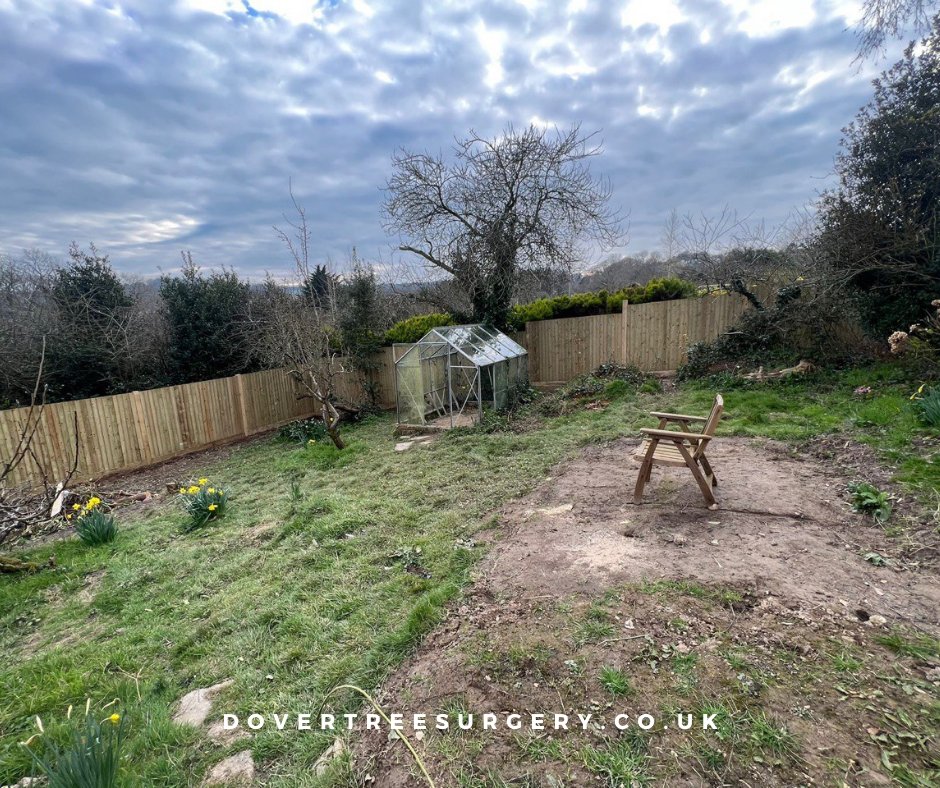 Get Your Mind Out of the Gutter and on Your Roof! Contact Dover Tree Surgery to get started.

#treesurgeons #treefelling #treecutting