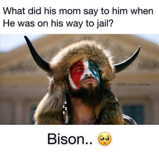 In honor of #NationalBisonDay 😉