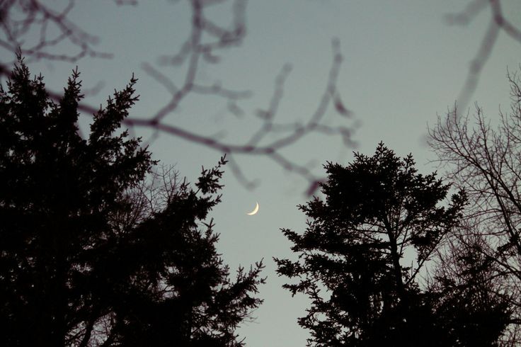 elemmiressoul's tweet photo. softly, moon. https://t.co/fxiAmfHdCu