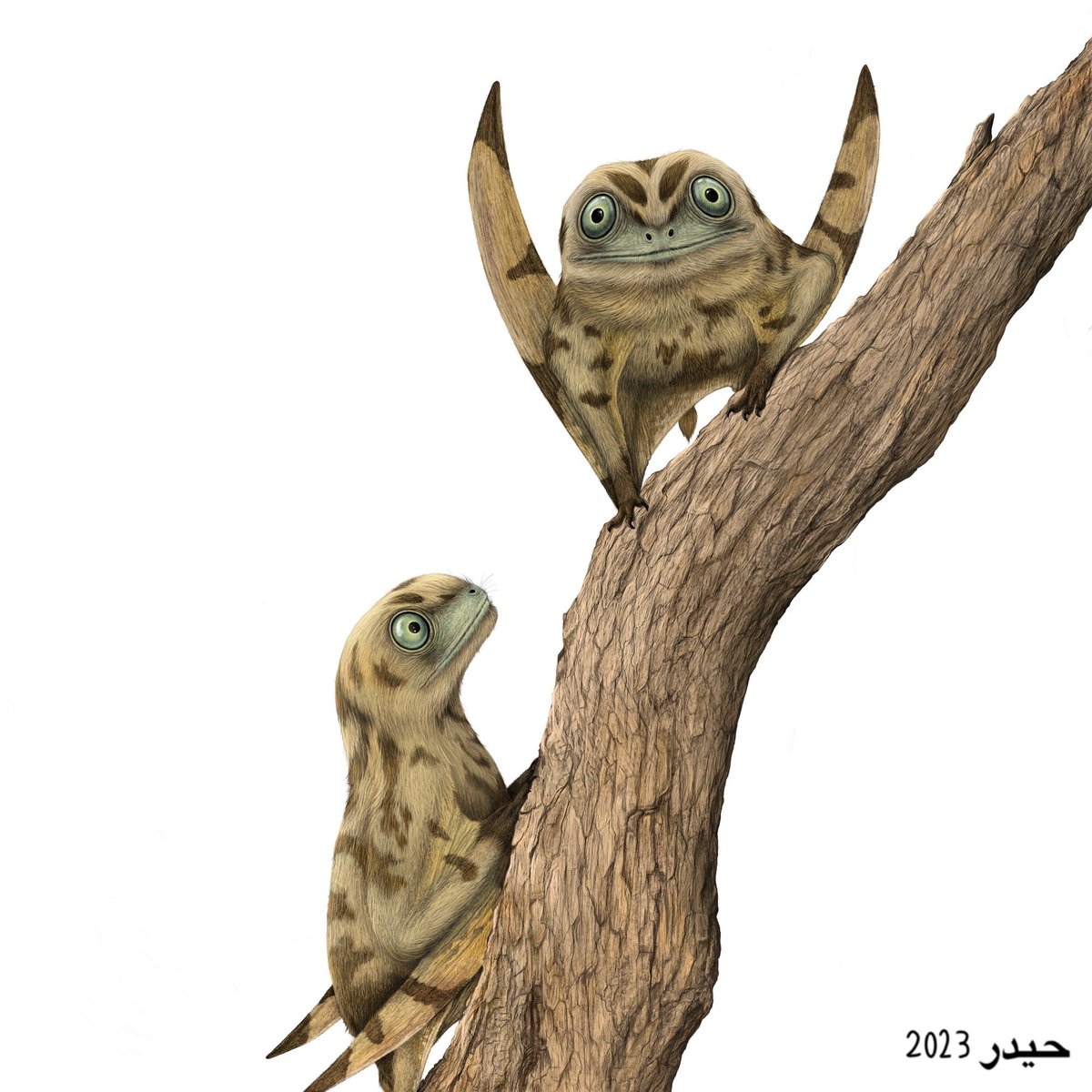 New piece:
"Solnhofen oddities"
A pair of Anurognathus. These are Pterosaurs (flying reptiles) from Germany, circa 149 million years ago.