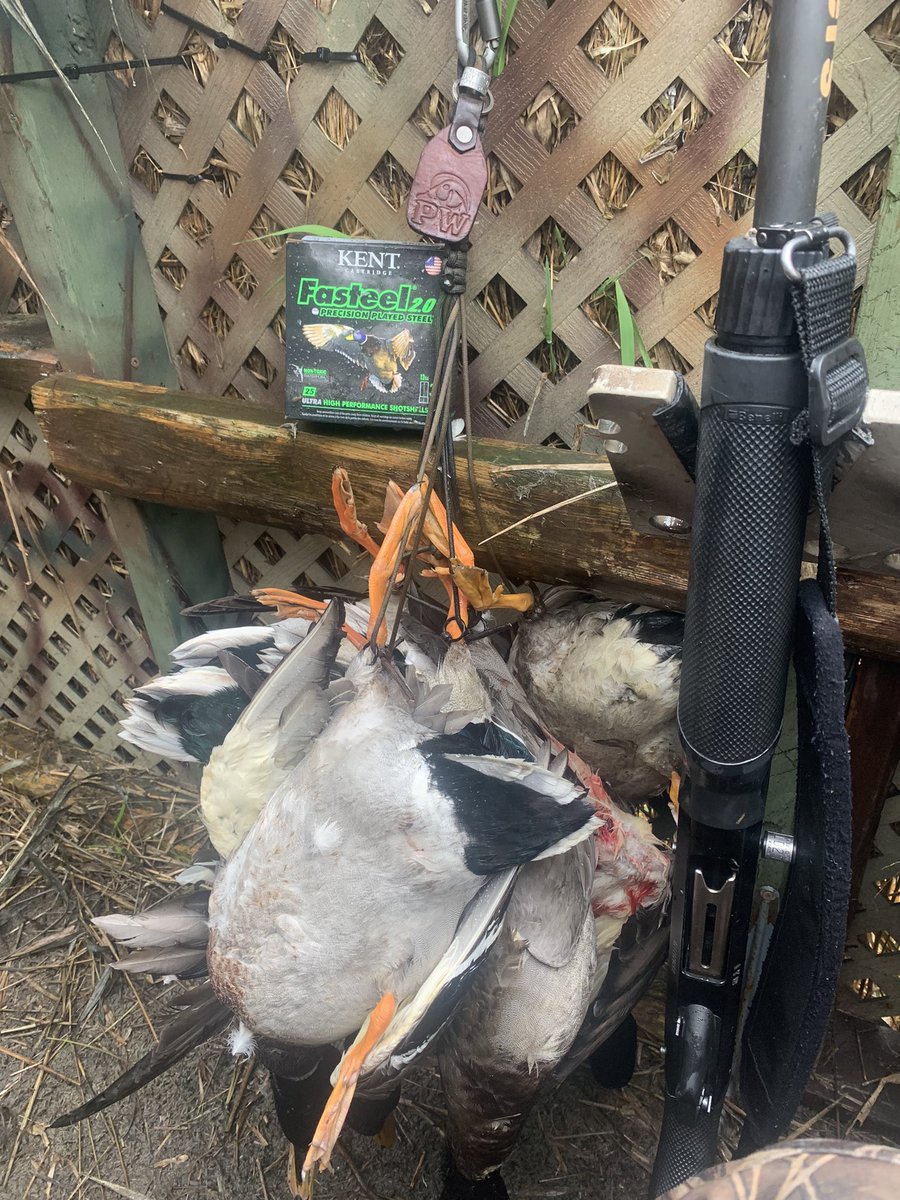 1- Bittersweet hunt today as our friend Chip is moving across country for work. Had a great time taking turns popping greenheads!