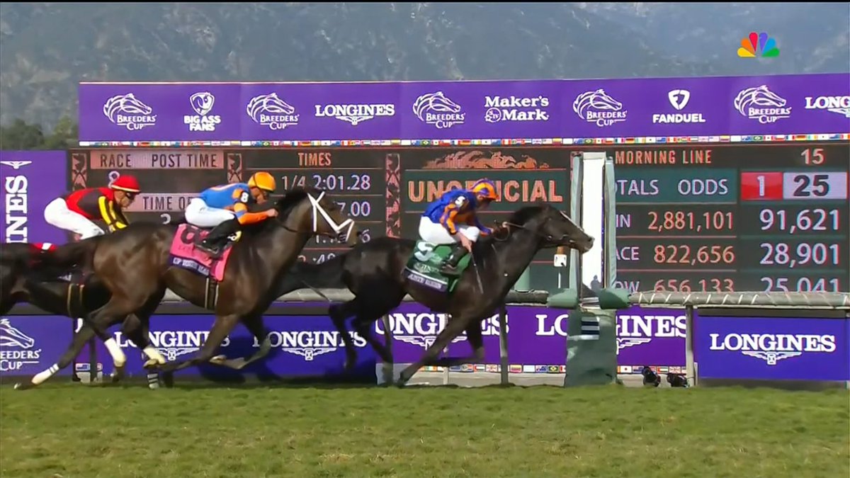 ちびたろう(Chibitaro) (@chi_bi_ta_ro) / X