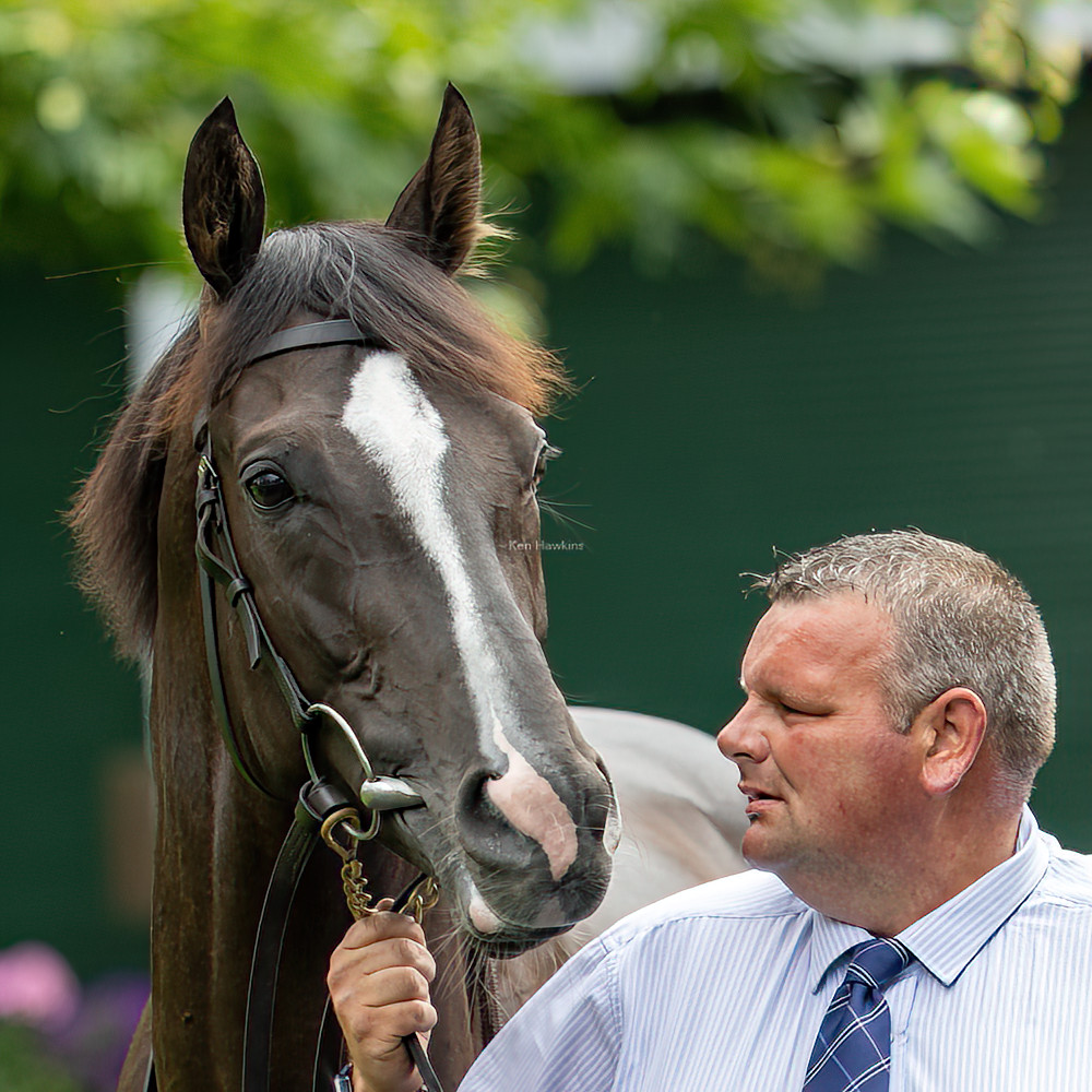Auguste Rodin. What a great horse. Derby, Irish Derby, Irish Champion Stakes and now the Breeders Cup Turf, all in the same year. Pictured here with his groom David Hickey.