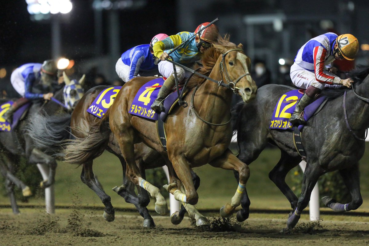 いよいよクラシック！
日本の夢を叶えてほしい🇯🇵

#ウシュバテソーロ 
#デルマソトガケ 
#BreedersCup 
#UshbaTesoro
#DermaSotogake