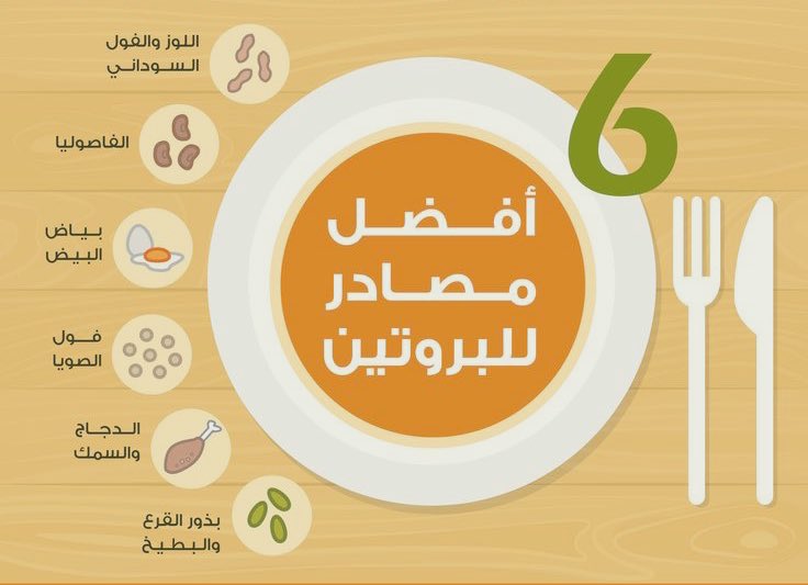 البروتين:
💡مادة حيوية رئيسية في بناء الجسم 
🩻 يقوي العظام 
💪🏼يساعد في تكوين وبناء العضلات 
💉له دور فعال في الجهاز المناعي 
🍗مصادره: البيض، اللحوم، الأسماك، الدجاج، الأجبان، منتجات الحليب، البقوليات، المكسرات