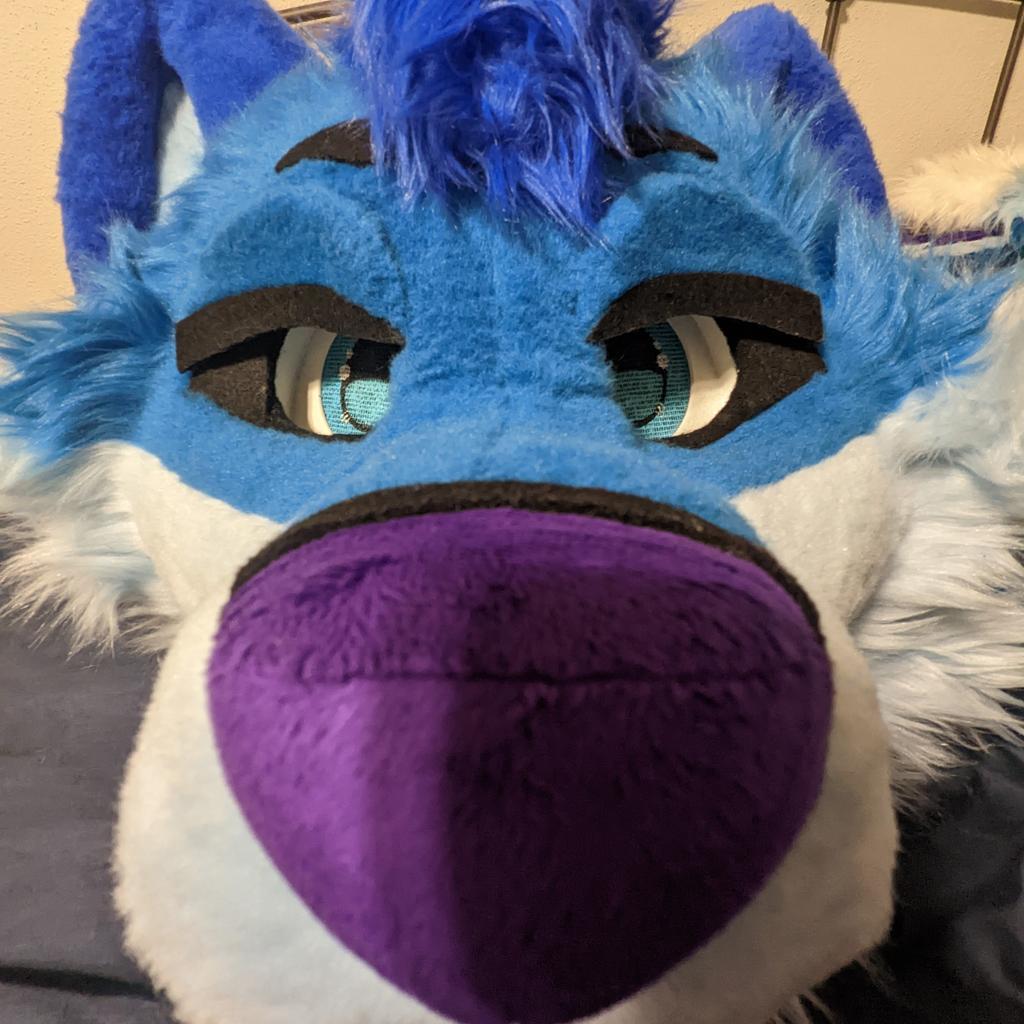 CalixWulf tweet media