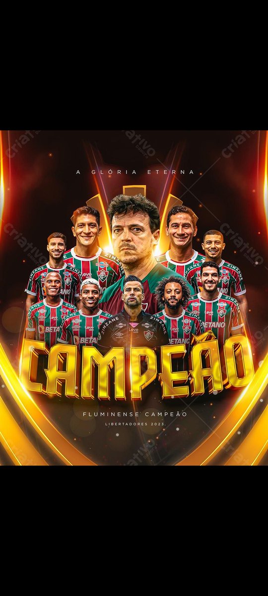 Fluminense campeão da Libertadores 2023!! #Libertadores2023 #Fluminense #BocaJuniors #BOCxFLU