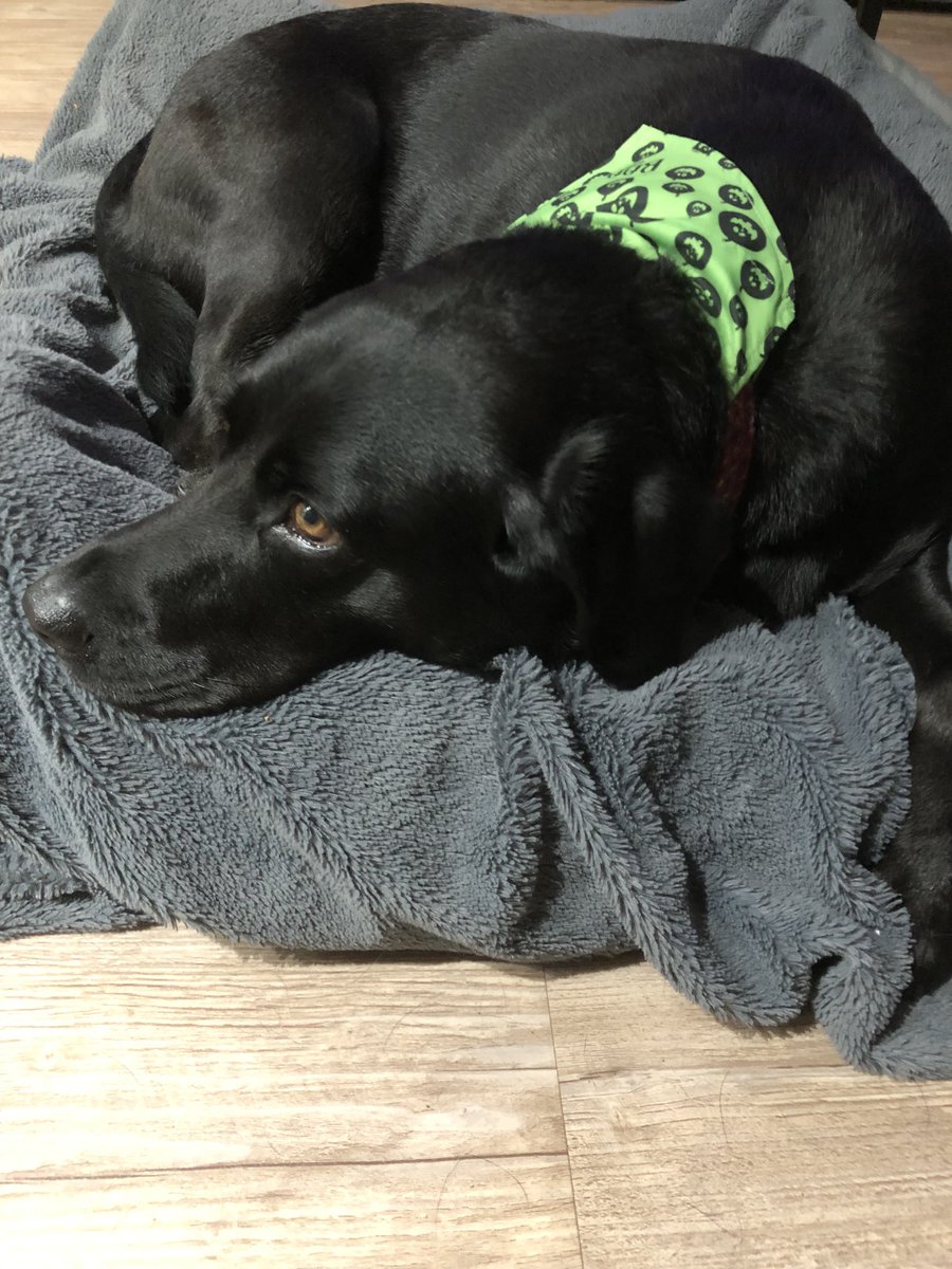 Nathan Thompson tweet media