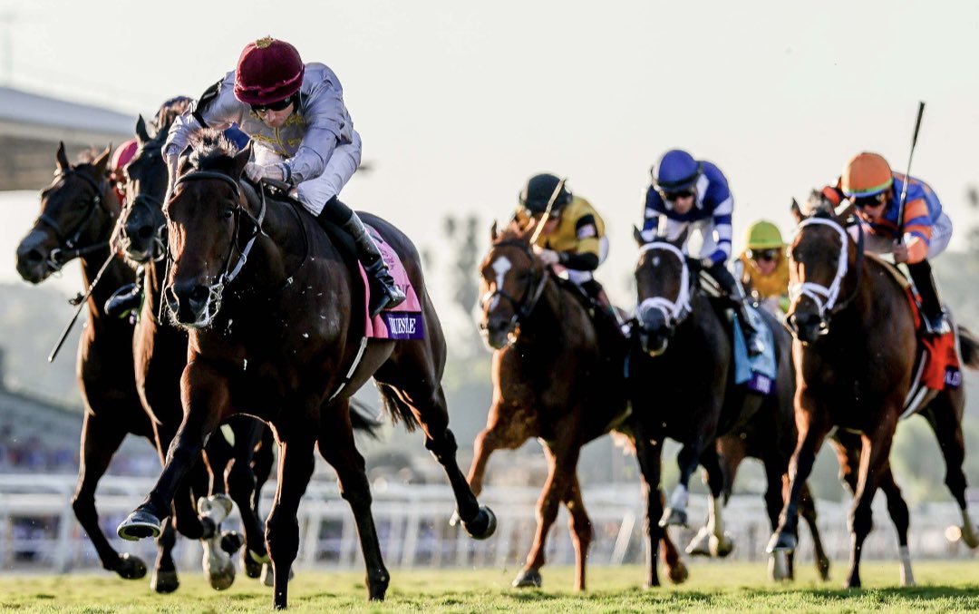 PadraicClarke's tweet photo. Wootton Bassett has sired 12 individual stakes winners in 6 different countries this year. All 12 have different broodmare sires and are trained by 11 different trainers!! #Unquestionable #BC23 https://t.co/RNQdv9FwKB