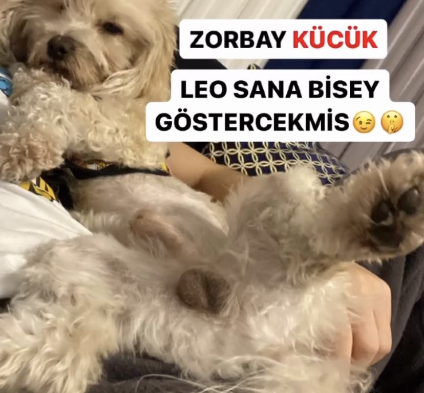 Zorbay kücük tebrikler.
Herkesten iyi oynadin. 
#KadıköydeKaraGece
#ZORBAYKÜCÜK
ALLAH BELANIZI VERSİN
#FBvsTS
Tebrikler trabzonspor