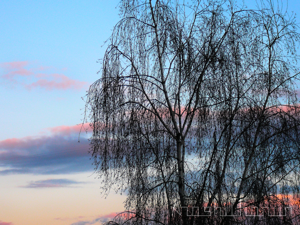 ArashiChanun (@arashichanun) on Twitter photo 