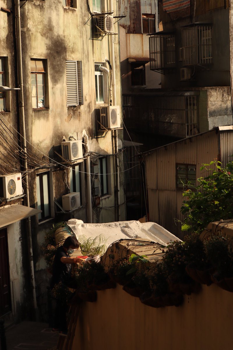 bijlaire's tweet photo. photos i took in macau
(because instagram’s forced crop is shit) https://t.co/ySpC7llZmC