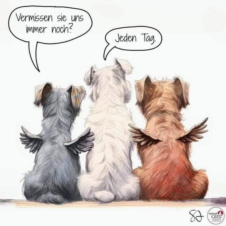 Danke für euren lieben Worte