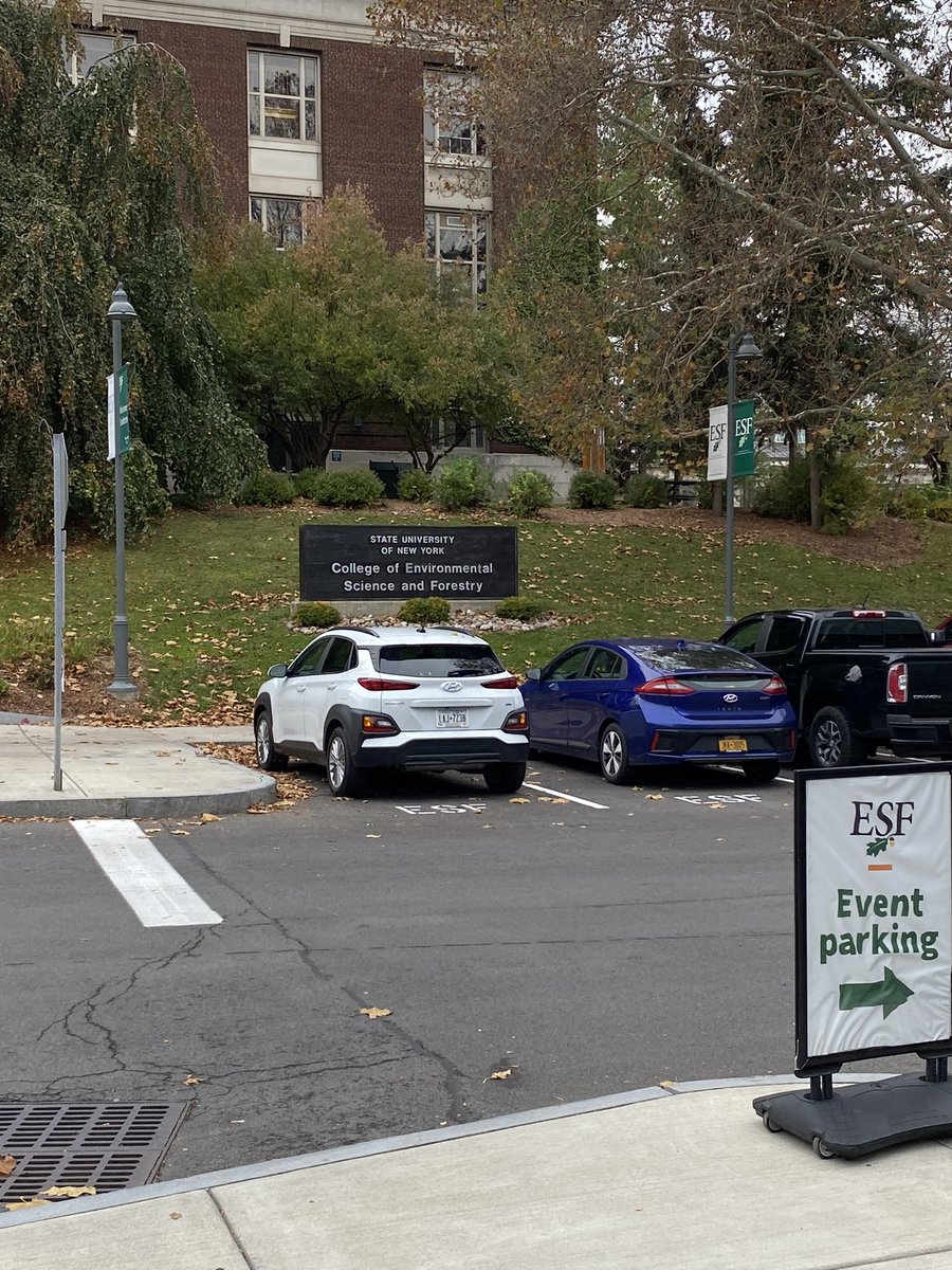 Tyler Bergmans tweet media