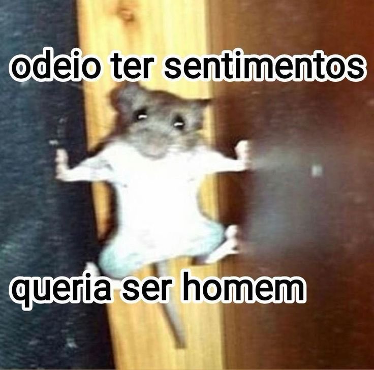 crisayonara's tweet photo. cansada de ter sentimentos https://t.co/0QBPuX8EUQ
