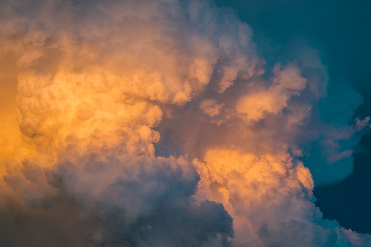 JR Goodwin tweet media