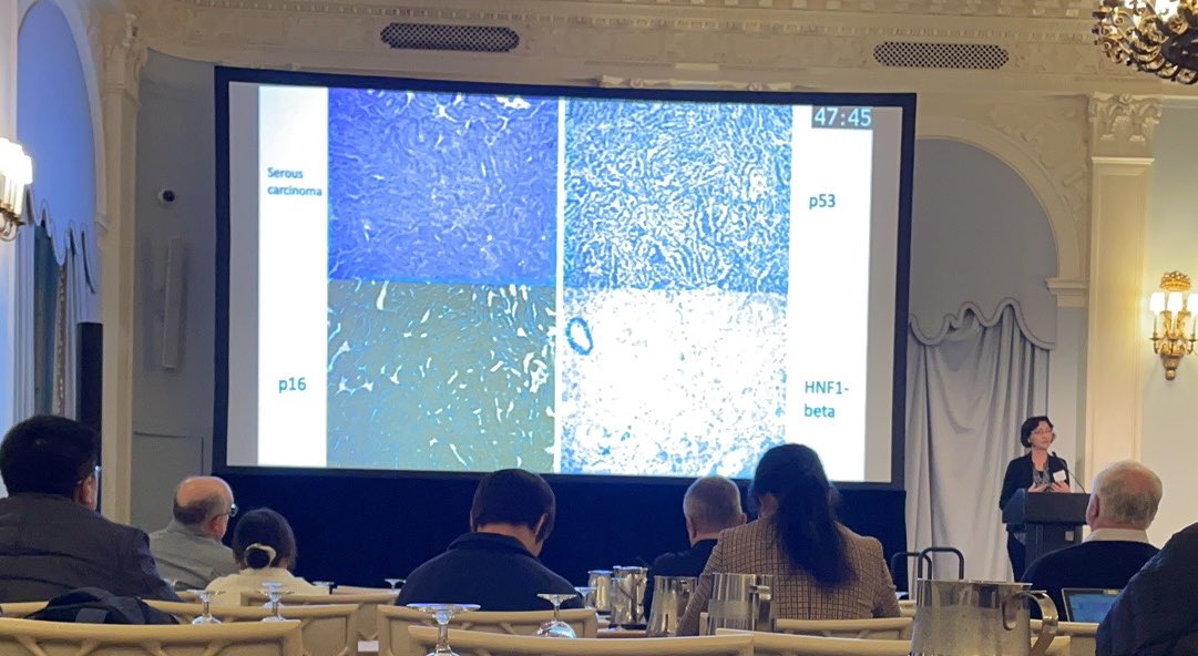 Xi Wang, MD/PhD tweet media