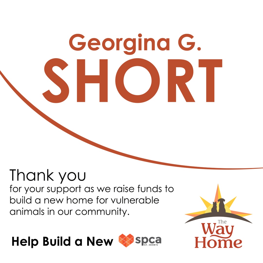 TheWayHomeSpca's tweet photo. Thank you, Georgina G. Short, for your donation to the Way Home Campaign! Your contribution means the world as we build a new SPCA!

https://t.co/DmzYP56EBc 

#TheWayHome #SupportSPCA https://t.co/HbKffyceMq