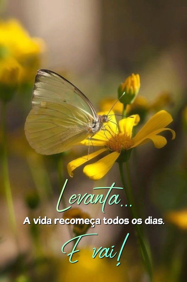 🌺Rosane🌺 tweet media