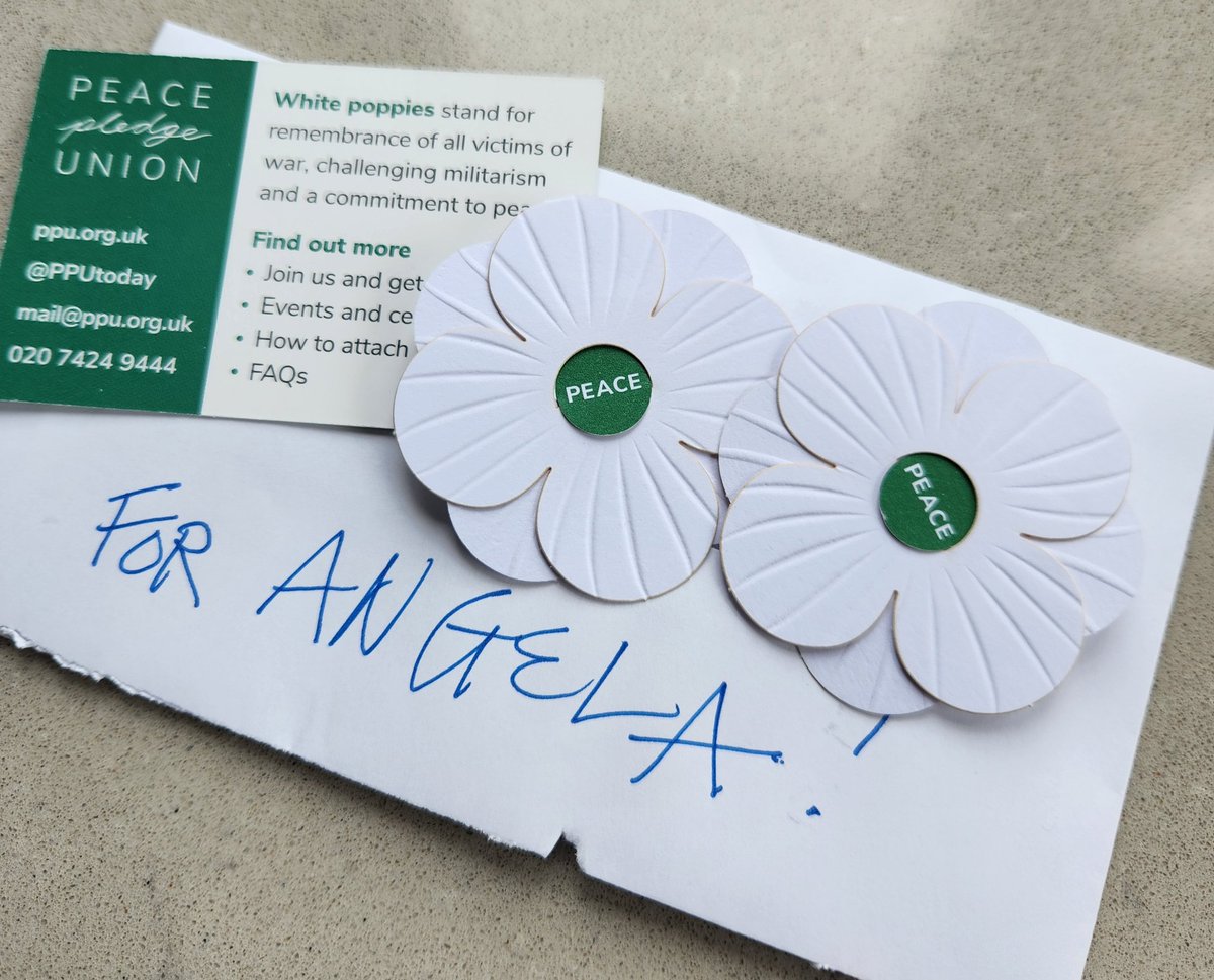 angedegrazia's tweet image. Thank you, Michael Sobota. Love you. #whitepoppy 🤍