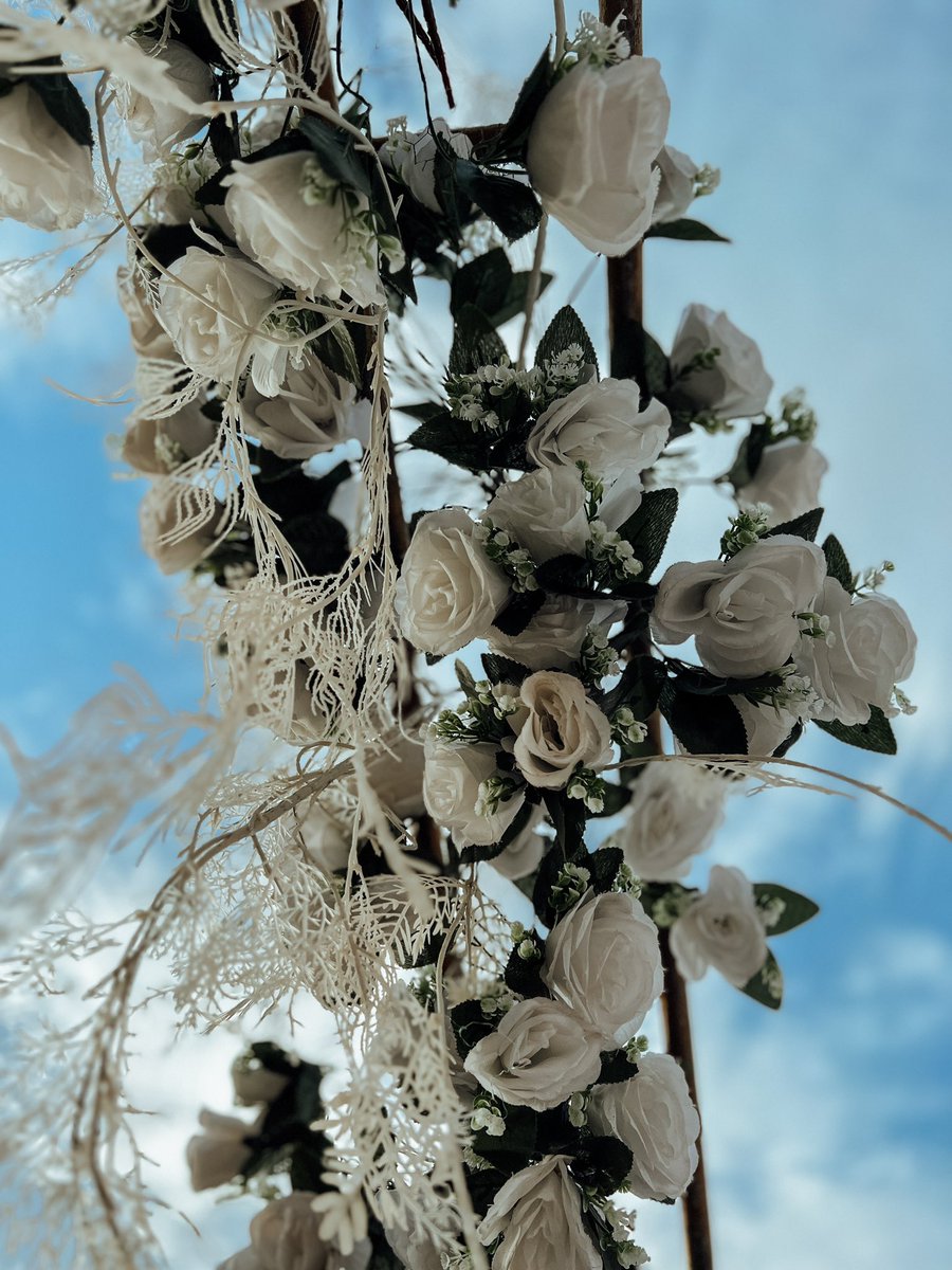 Prince Akachi tweet media