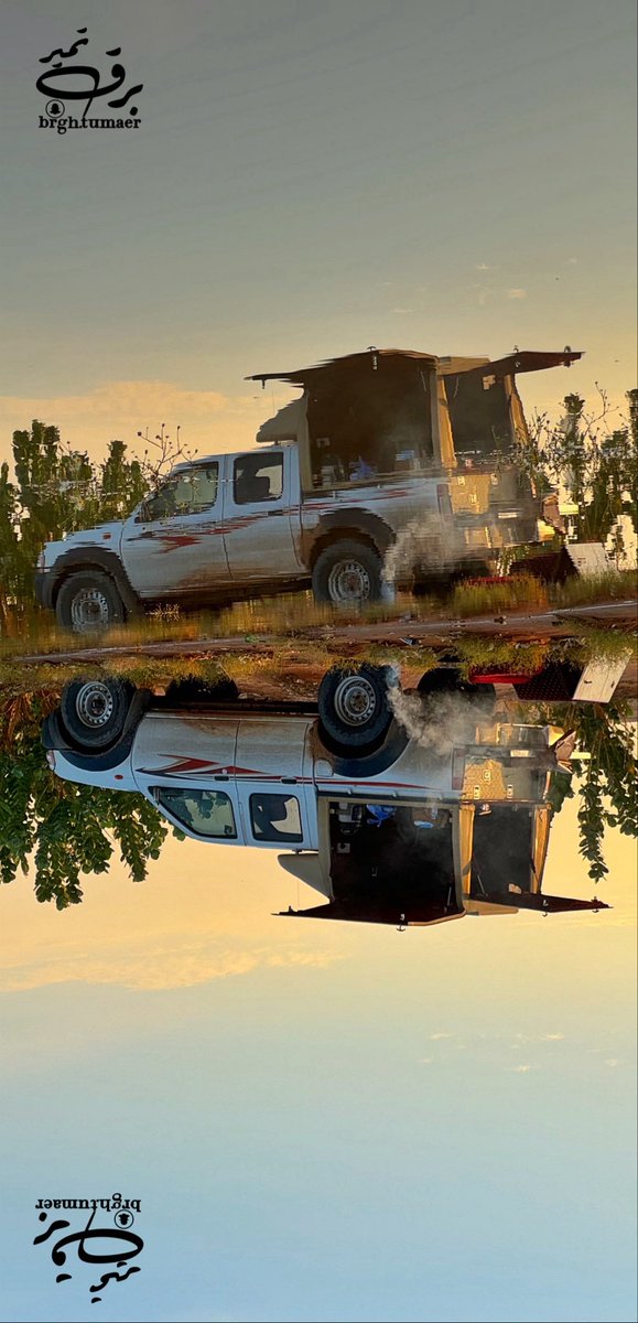 مكشات tweet media