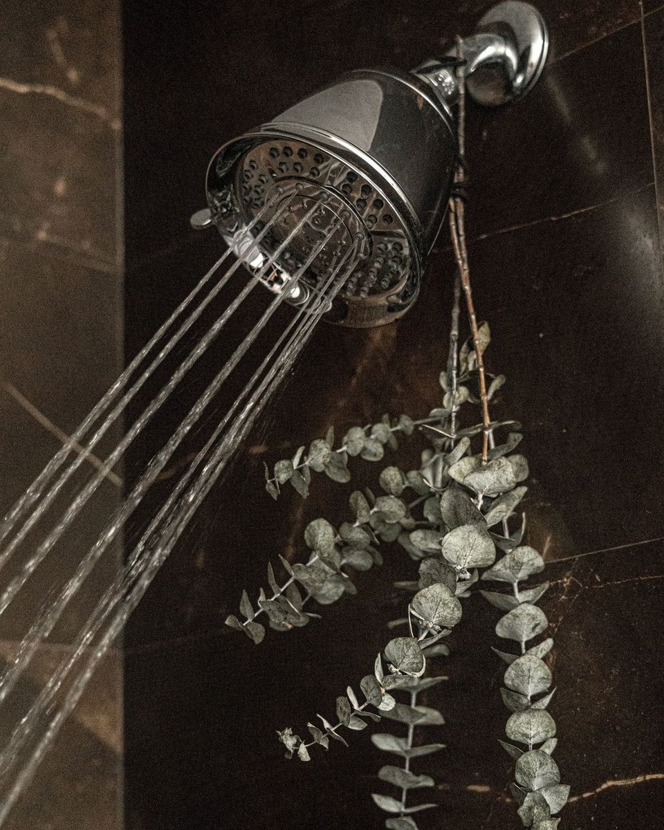 Good hair starts in the shower. 🌿

@T3micro Source delivers a better clean that keeps hair healthy and hydrated.

#T3Hair #T3Source #filteredshowerhead #haircare #planetbeauty #beauty #hair #shower