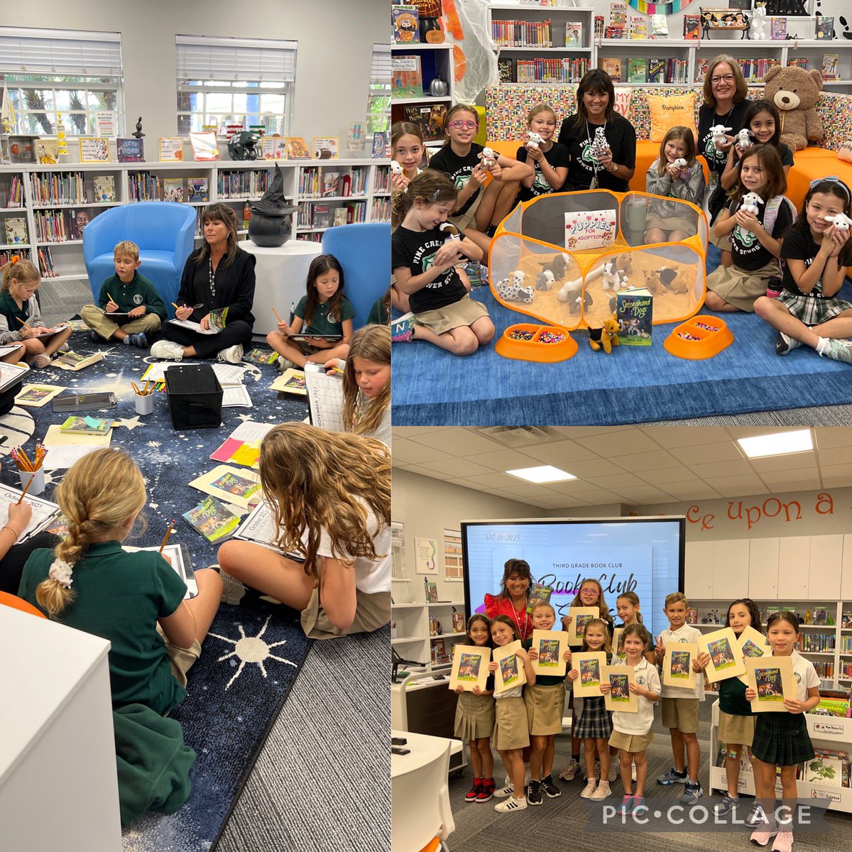 Pine Crest Lower School tweet media