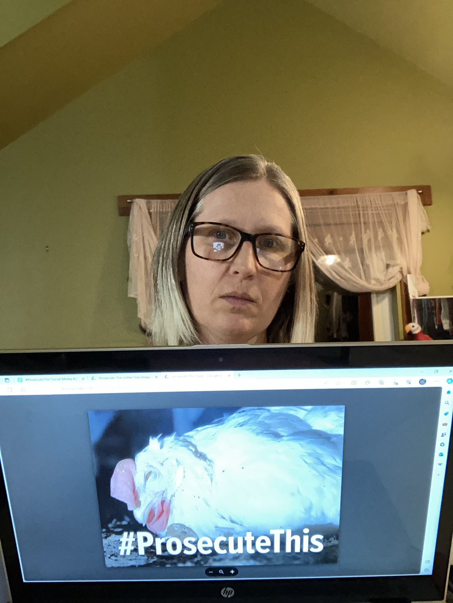 beth_virginia's tweet image. On November 2nd, your office once again received evidence of criminal animal neglect &amp;amp; abuse at Sunrise Farms &amp;amp; Reichardt Duck Farm. @SonomaCoDA, what steps you will be taking to investigate &amp;amp; stop this rampant criminal animal cruelty in your jurisdiction? #ProsecuteThis
