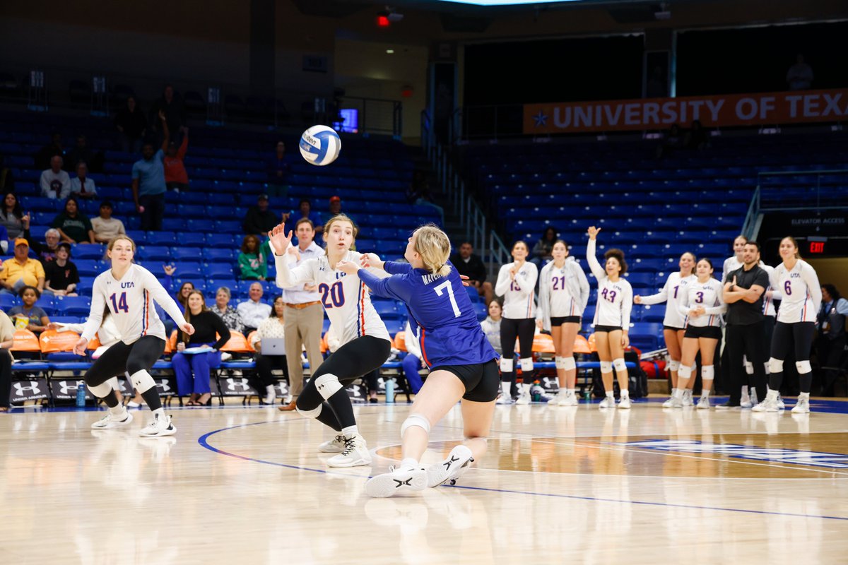 UTAMavsVB's tweet photo. Squad goals. 😍

The Mavs bench celebrates @alligracee_ as she breaks the program's career digs record on her final home collegiate point.

#BuckEm 🐎 https://t.co/VDQDYzChiZ