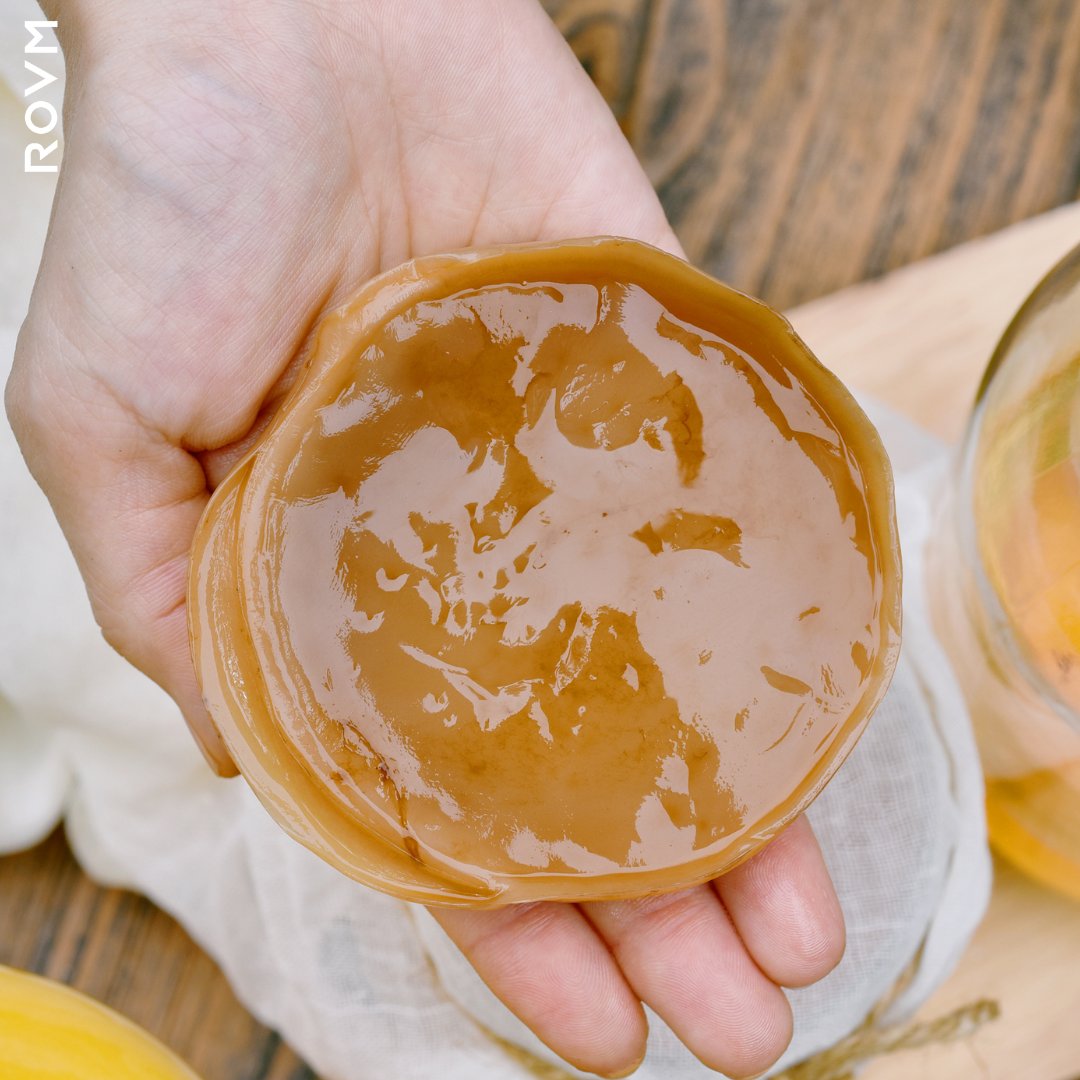 ROVMHardBooch's tweet photo. SCOBY! Science time ROVMERS: SCOBY (also as we call it, The Mother) is a cellulose mat that houses the bacteria and yeast cultures that turn sweet tea into kombucha. Have you ever tried to make your own SCOBY? https://t.co/k4OPAYyWjN