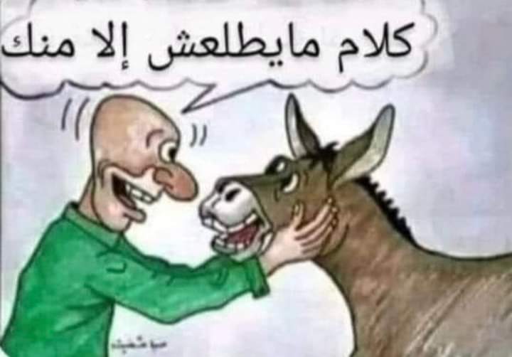 ShymaAna's tweet photo. @nourhames https://t.co/WrKpEInTLj