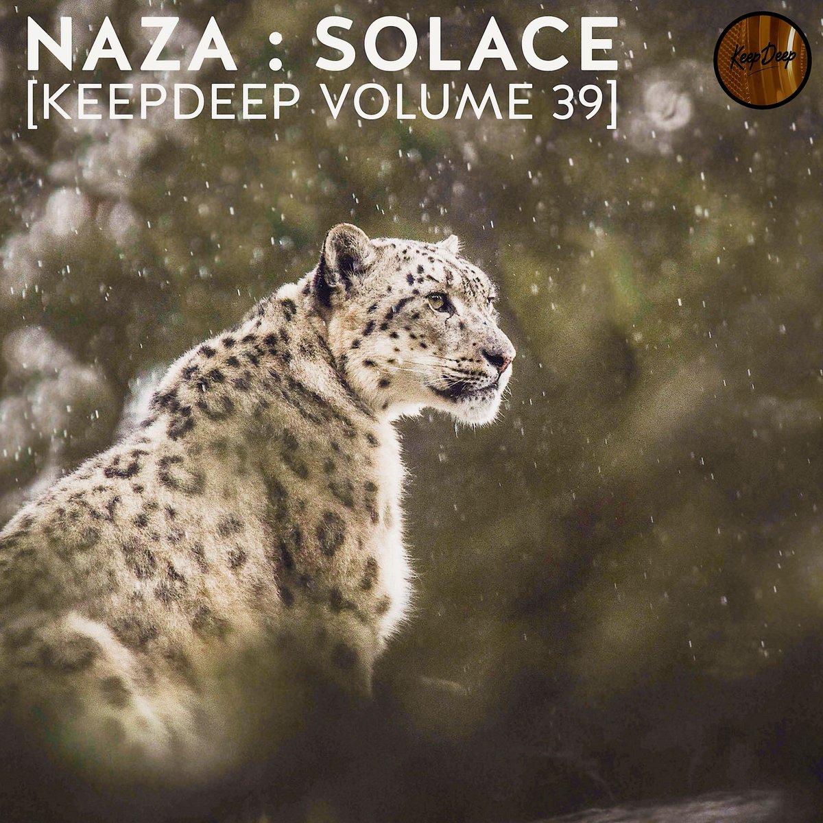 KeepDeep (@keep_deep) on Twitter photo <a href="/NAZA66/">NAZA</a> "SOLACE" <a href="/Keep_Deep/">KeepDeep</a> Volume 39 soundcloud.com/keepdeep/naza-… <a href="/Dubstep/">Dubstep</a>
<a href="/dan1point5/">1point5</a> <a href="/DystinktBeats/">Dystinkt Beats</a> <a href="/Skrillex/">Skrillex</a> <a href="/fredagainagain1/">Fred again..</a> <a href="/BigFlowdan/">Flowdan</a> @PandohYT <a href="/argosounds/">argo</a> <a href="/tikandborrow/">Tik&Borrow</a> <a href="/spacejail/">SpaceJail</a> <a href="/superheroblvck/">EGODEATH</a> <a href="/mikrodot_music/">MIKRODOT</a> <a href="/Strong4LifeDubs/">Strong4Life&Pyroid</a> <a href="/DrOscillator/">Dr. Oscillator</a> <a href="/LucasTheFlow/">Lucas The Flow</a> #bass #dub <a href="/NAZA66/">NAZA</a> "SOLACE" <a href="/Keep_Deep/">KeepDeep</a> Volume 39 soundcloud.com/keepdeep/naza-… <a href="/Dubstep/">Dubstep</a>
<a href="/dan1point5/">1point5</a> <a href="/DystinktBeats/">Dystinkt Beats</a> <a href="/Skrillex/">Skrillex</a> <a href="/fredagainagain1/">Fred again..</a> <a href="/BigFlowdan/">Flowdan</a> @PandohYT <a href="/argosounds/">argo</a> <a href="/tikandborrow/">Tik&Borrow</a> <a href="/spacejail/">SpaceJail</a> <a href="/superheroblvck/">EGODEATH</a> <a href="/mikrodot_music/">MIKRODOT</a> <a href="/Strong4LifeDubs/">Strong4Life&Pyroid</a> <a href="/DrOscillator/">Dr. Oscillator</a> <a href="/LucasTheFlow/">Lucas The Flow</a> #bass #dub