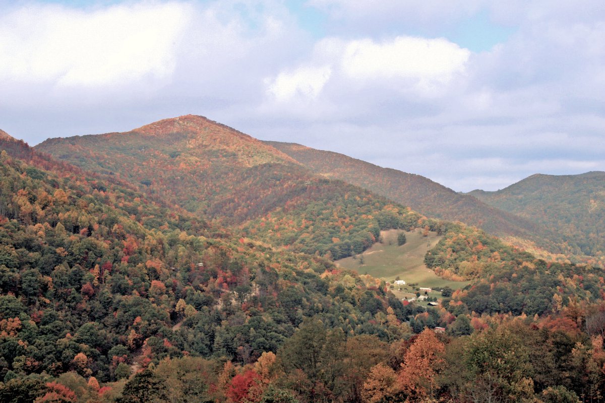 Maggie Valley #autumn #fall #leaves #maggievalley