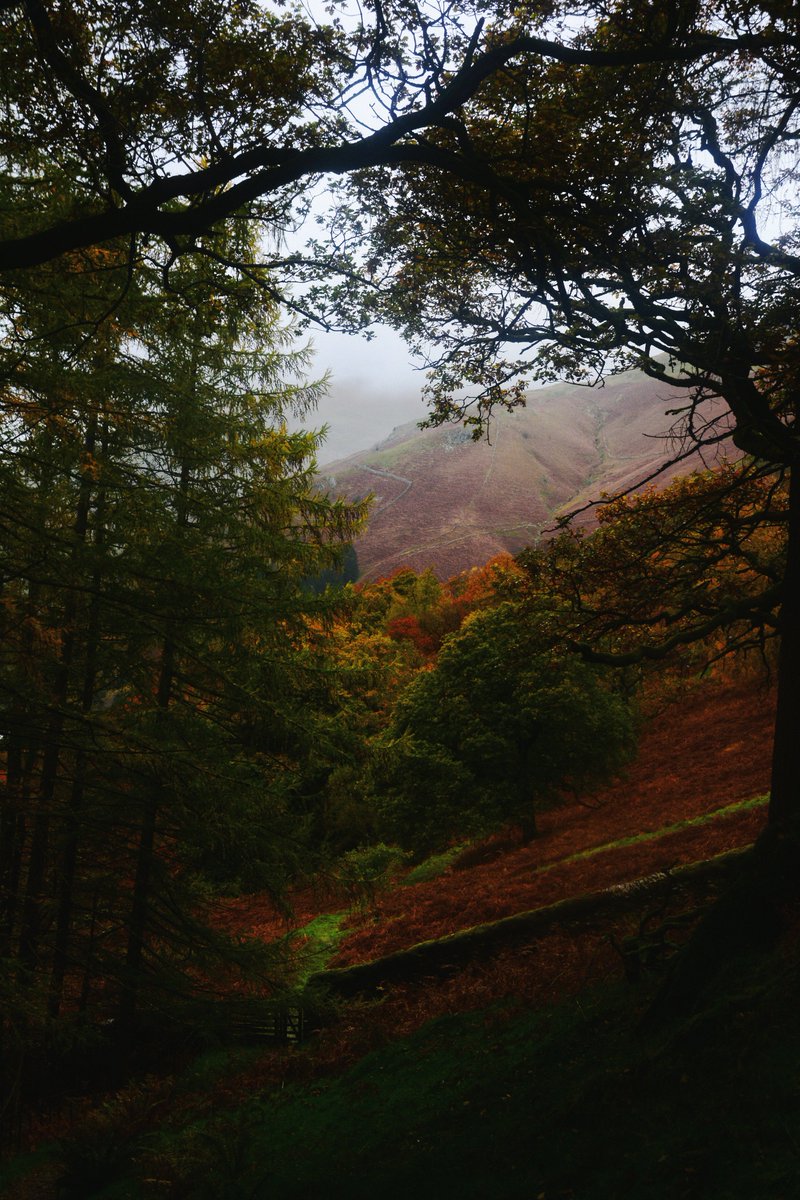 John McGrath tweet media