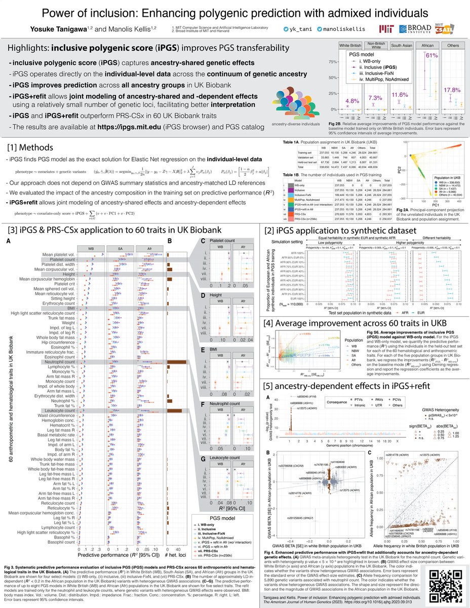 manoliskellis's tweet photo. Don't miss #YosukeTanigawa @yk_tani poster PB_4327 at #ASHG23 #ASHG on The Power of #Inclusion in #PolygenicScore calculations #PGS or #PolygenicRiskScore #PRS, in the #StatisticalGenetics and #GeneticEpidemiology section.
Key result: Diverse ancestry inclusion improves prediction accuracy for all genetic backgrounds, especially AfricanAncestry up to 60% improvement on average with iPGS and iPGS+Refit methods. 
Building on Yosuke @yk_tani's paper just published in @AJHGNews last week! Poster session is now! 
Abstract: https://t.co/9u9IUyxIw2