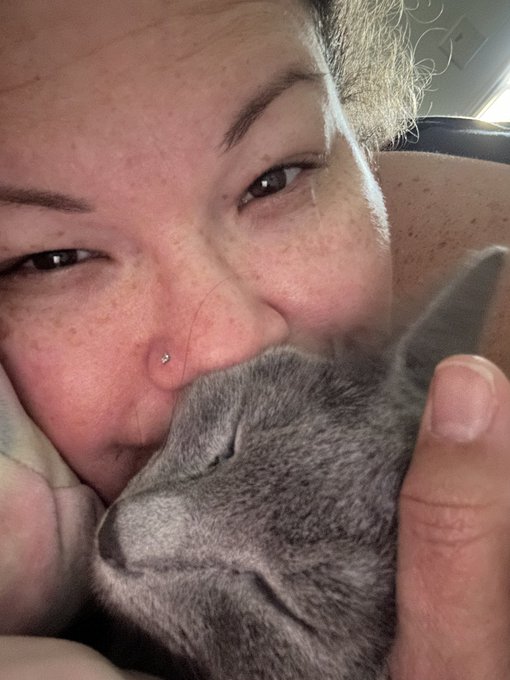 Yesterday I took a break to go home and rest a bit and Lyko came over and laid on my bed purring! 🥹 https://t<a href="/tag/mvsales"class="tags"><span>#mvsales</span></a>