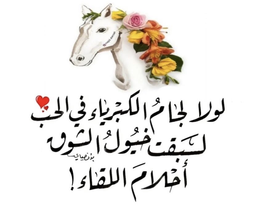 #اسطول_زعماء_تويتر
#مملكة_المبدعين_للدعم
#ممكلة_طارق_للدعم