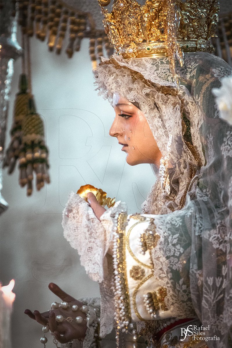 rafael_siles12's tweet photo. "Esperanza de María"
.
@EsperanzaHdad 
.
#espranza #cordoba #esperanzadecordoba #semanasanta #semanasanta2023 #semanasantacordoba #cofrade #cordobacofrade #cofradias #foto #fotografoa #fotografiasemanasanta #fotografiacofrade #rafaelsilesfotografia #fococor https://t.co/CcQXAJLFyF