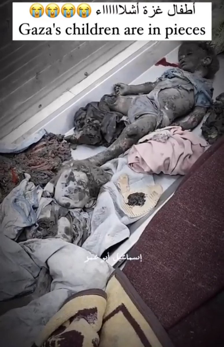 AlfredoUrquiza8's tweet photo. @EducacionRio 
Unamos las voces para acabar con la masacre de Niños en Palestina y su pueblo. 
#FreePalestine 
@CaridadLen9236 
@DaimirisO 
@PompaDalgis 
@BeatrizTornes https://t.co/Uwf6RBfft8