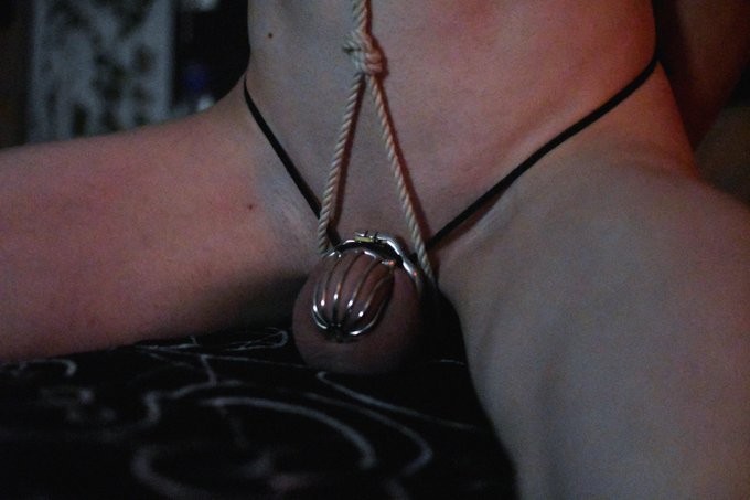 More pics of my first rope harness https://t.co/NNx7CZHaB7<a href="/tag/locktober"class="tags"><span>#locktober</span></a>