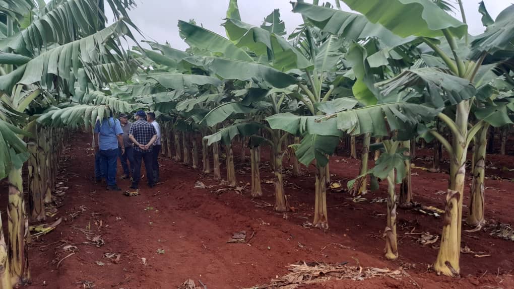 Continúa en la provincia #Artemisa el intercambio con el Vice primer Ministro <a href="/JorgeLuisTapiaF/">Jorge Luis Tapia Fonseca</a> donde recorre fincas y conversa con productores sobre las estrategias para incrementar producciones.