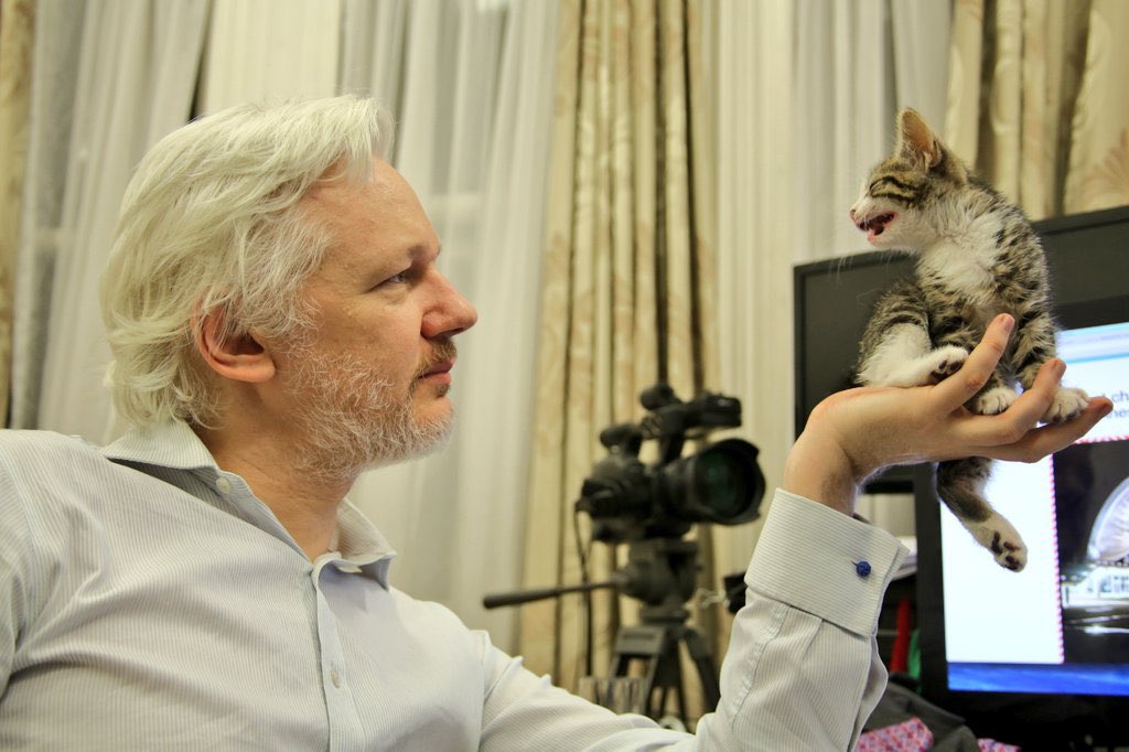 Julian Assange, fondateur de <a href="/wikileaks/">WikiLeaks</a>, avec le chat que je lui avais offert, au sein de l’ambassade d’Equateur à Londres (2016).

Ayez une pensée pour lui. 

Le monde de ces dernières années aurait été bien différent s’il était resté en liberté.