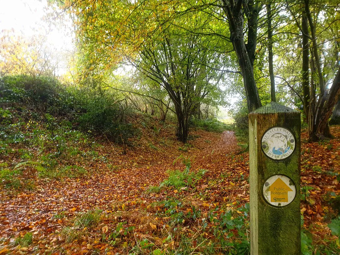 sharonamery's tweet photo. Autumn comes to Herefordshire! 🍁

#brockhampton #woolhope #sollershope #herefordshire #countryside #nature #leaves #trees #orchard #rain #greysky #bluesky #autumn #autumnvibes #walking #exploring #weekendexploring #weekendvibes https://t.co/Vma0ZPCtb5