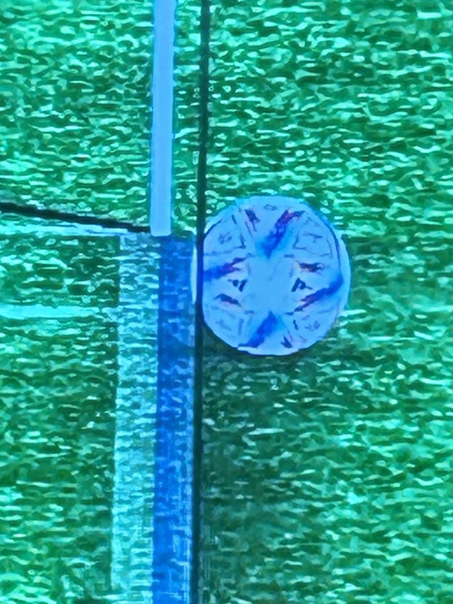 Ok that’s now put to bed #NUFC #NEWARS